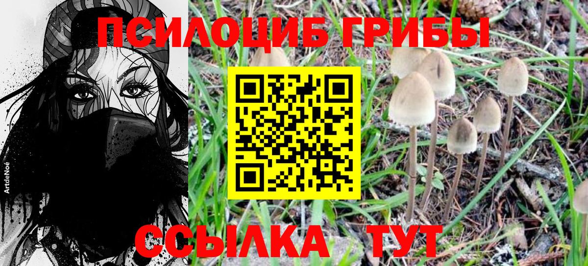 наркота  Псилоцибиновые грибы Psilocybine cubensis  Вход с VPN  Симферополь 